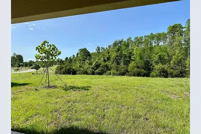 17606 Happytrails Street, Land O Lakes, FL 34638 - Photo 44
