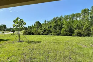17606 Happytrails St, Land O Lakes, FL 34638 - Photo 44