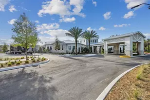 16842 Forge Surf St, Land O Lakes, FL 34638 - Photo 46