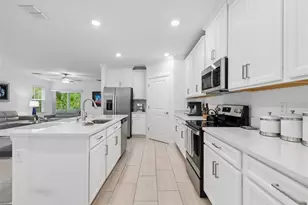 16842 Forge Surf St, Land O Lakes, FL 34638 - Photo 4