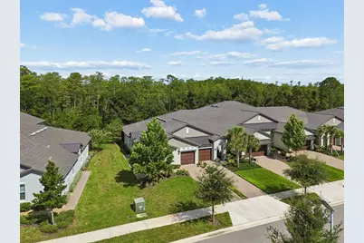 16842 Forge Surf Street, Land O Lakes, FL 34638 - Photo 54