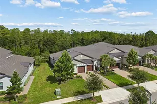 16842 Forge Surf St, Land O Lakes, FL 34638 - Photo 54