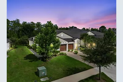 16842 Forge Surf Street, Land O Lakes, FL 34638 - Photo 50