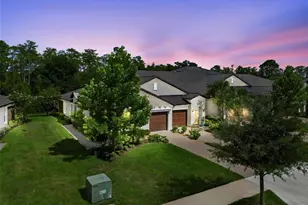 16842 Forge Surf St, Land O Lakes, FL 34638 - Photo 50