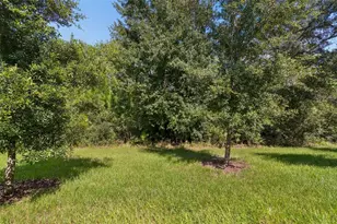 16842 Forge Surf St, Land O Lakes, FL 34638 - Photo 34