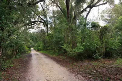 0 Lucilles Shady Lane, Nobleton, FL 34661 - Photo 8