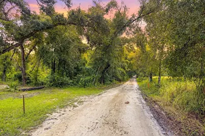 0 Lucilles Shady Lane, Nobleton, FL 34661 - Photo 1