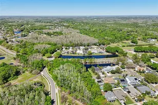 954 Cobblestone Ln, Tarpon Springs, FL 34688 - Photo 76