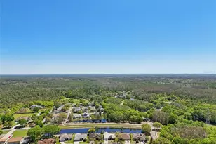 954 Cobblestone Ln, Tarpon Springs, FL 34688 - Photo 68