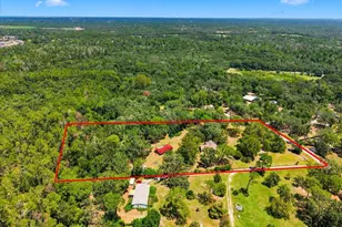 15535 Renee Ln, Hudson, FL 34669 - Photo 4