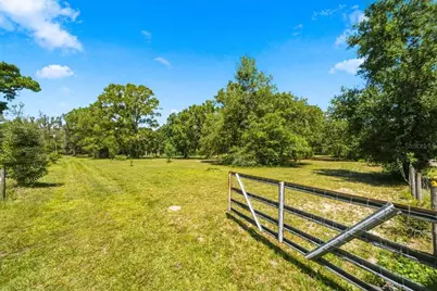 15535 Renee Lane, Hudson, FL 34669 - Photo 48