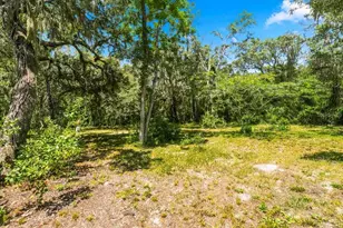 15535 Renee Ln, Hudson, FL 34669 - Photo 46