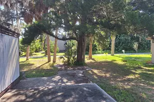 6501 Werner Ave, New Port Richey, FL 34652 - Photo 6