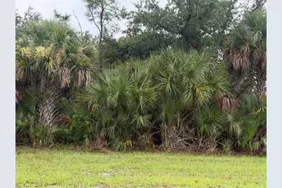 13241 Appleton Boulevard, Port Charlotte, FL 33981 - Photo 2