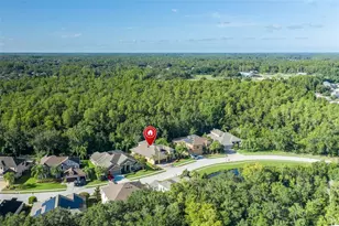 15312 Azra Dr, Odessa, FL 33556 - Photo 60
