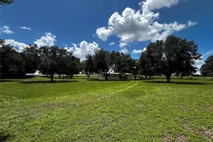 8535 23rd St, Zephyrhills, FL 33540 - Photo 26