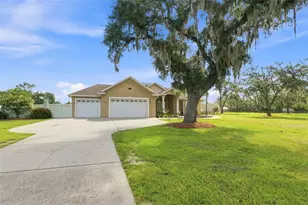 11302 Osceola Dr, New Port Richey, FL 34654 - Photo 4