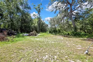 14730 Peace Blvd, Spring Hill, FL 34610 - Photo 48
