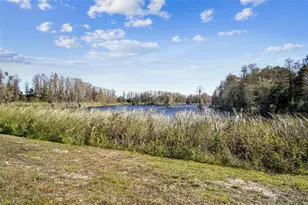 13941 Reindeer Cir, Hudson, FL 34669 - Photo 84
