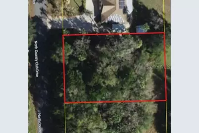 90 N Country Club Drive, Crystal River, FL 34429 - Photo 1