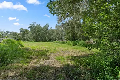 0 Trilby Cutoff Road, Dade City, FL 33523 - Photo 4