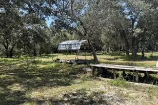 12091 Pinetree Ln, Brooksville, FL 34613 - Photo 38