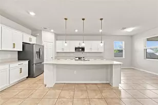 18359 Cortes Creek Blvd, Spring Hill, FL 34610 - Photo 4
