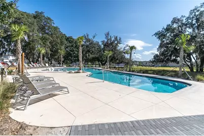 3060 Chapin Pass, Odessa, FL 33556 - Photo 44