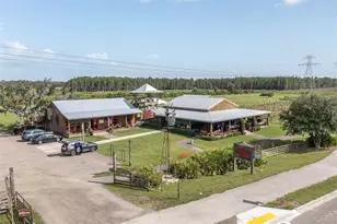 3060 Chapin Pass, Odessa, FL 33556 - Photo 52