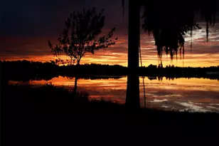 12120 Carver Ave, New Port Richey, FL 34654 - Photo 10