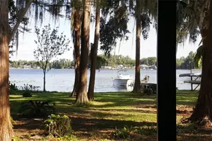 12120 Carver Ave, New Port Richey, FL 34654 - Photo 8