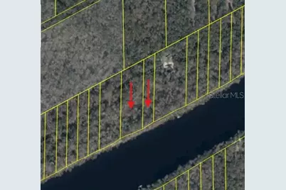 893 NE 930 Street, Old Town, FL 32680 - Photo 4