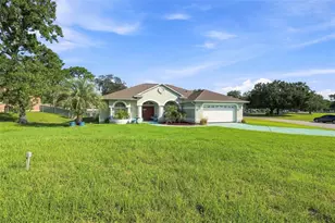 13476 Little Farms Dr, Spring Hill, FL 34609 - Photo 20