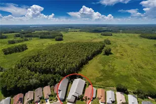 1017 Sweet Jasmine Dr, Trinity, FL 34655 - Photo 46