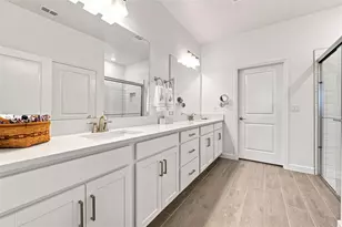17254 Mango Shay Ct, Land O Lakes, FL 34638 - Photo 30