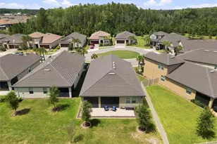 17254 Mango Shay Ct, Land O Lakes, FL 34638 - Photo 46