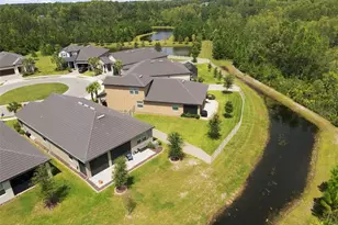 17254 Mango Shay Ct, Land O Lakes, FL 34638 - Photo 4