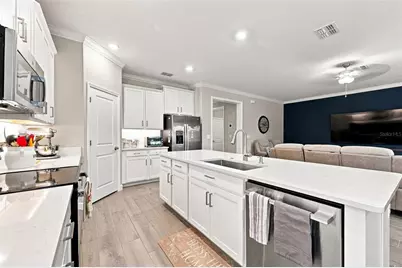 17254 Mango Shay Court, Land O Lakes, FL 34638 - Photo 18