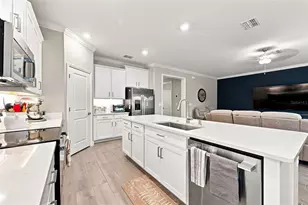 17254 Mango Shay Ct, Land O Lakes, FL 34638 - Photo 18