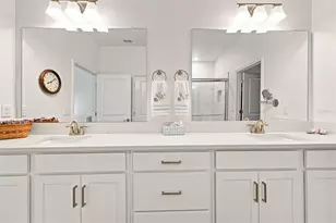17254 Mango Shay Ct, Land O Lakes, FL 34638 - Photo 32