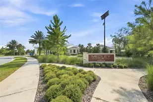 17254 Mango Shay Ct, Land O Lakes, FL 34638 - Photo 56