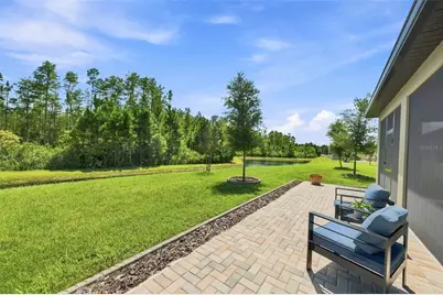 17254 Mango Shay Court, Land O Lakes, FL 34638 - Photo 48