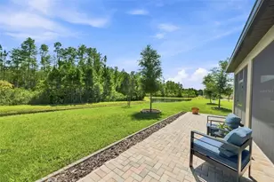 17254 Mango Shay Ct, Land O Lakes, FL 34638 - Photo 48