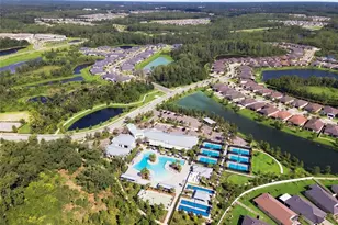 17254 Mango Shay Ct, Land O Lakes, FL 34638 - Photo 78