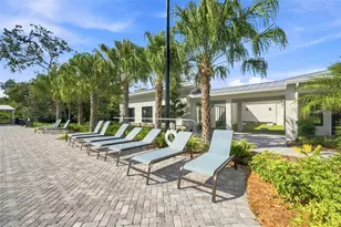 17254 Mango Shay Ct, Land O Lakes, FL 34638 - Photo 76