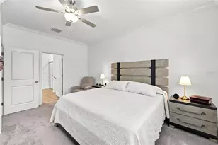 17254 Mango Shay Ct, Land O Lakes, FL 34638 - Photo 28