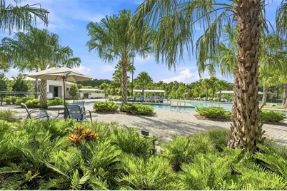 17254 Mango Shay Court, Land O Lakes, FL 34638 - Photo 80