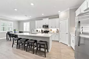17254 Mango Shay Ct, Land O Lakes, FL 34638 - Photo 22