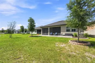 17254 Mango Shay Ct, Land O Lakes, FL 34638 - Photo 50