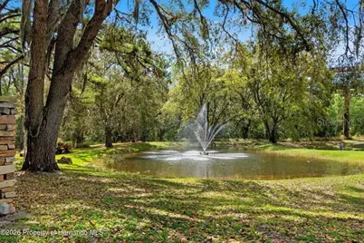 11200 Woodland Waters Boulevard, Weeki Wachee, FL 34613 - Photo 44